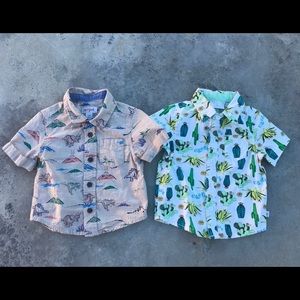 Toddler boy short sleeve button up shirts